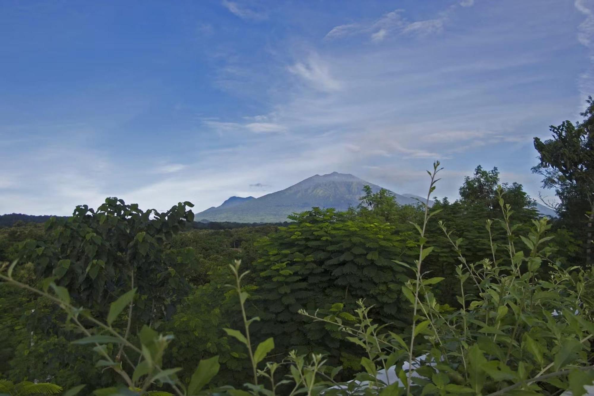 Hotel Bangsring Breeze Banyuwangi  Exterior foto